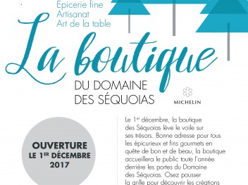 FLYER-BOUTIQUE